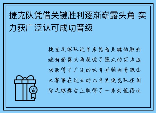 捷克队凭借关键胜利逐渐崭露头角 实力获广泛认可成功晋级
